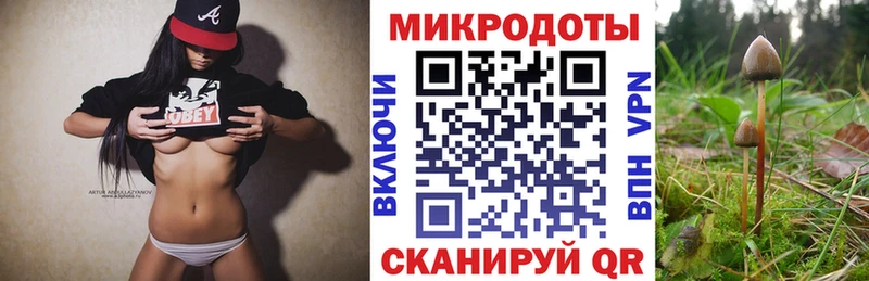 Псилоцибиновые грибы Psilocybine cubensis  Новотитаровская 