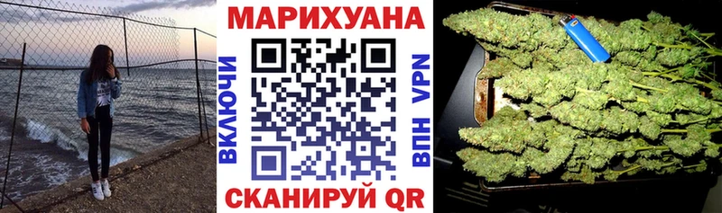 Бошки Шишки сатива  Новотитаровская 